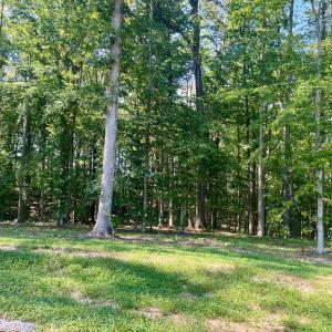 Photo #3 of SOUTHERN RIDGE, MINERAL, VA 1.5 acres