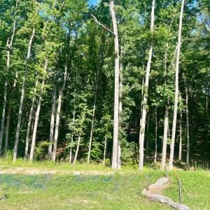 Photo #2 of SOUTHERN RIDGE, MINERAL, VA 1.6 acres