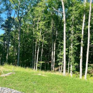 Photo #3 of SOUTHERN RIDGE, MINERAL, VA 1.6 acres