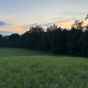 Photo #2 of NOVUM RD, REVA, VA 3.0 acres