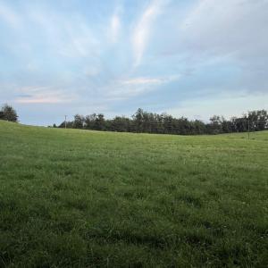 Photo #1 of NOVUM RD, REVA, VA 3.3 acres