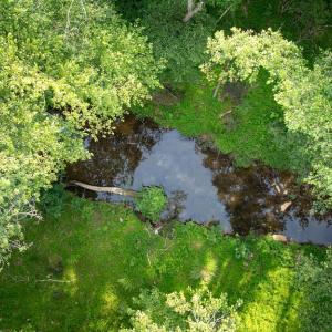 Photo #16 of GERMANNA HWY, LOCUST GROVE, VA 1.5 acres