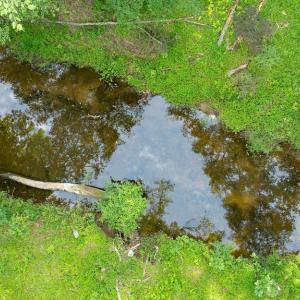 Photo #15 of GERMANNA HWY, LOCUST GROVE, VA 1.5 acres