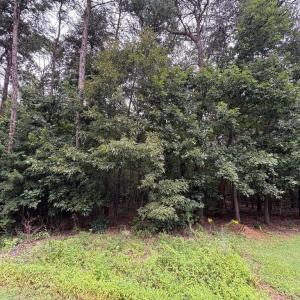 Photo #3 of 2319 VALENTINE DR, BUMPASS, VA 1.6 acres