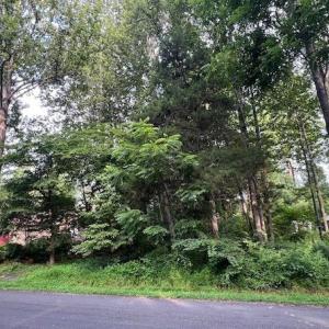 Photo #1 of 622 HARRISON CIR, LOCUST GROVE, VA 0.3 acres