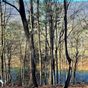 Photo #2 of LOT 10 KAUFFMANS MILL RD, LURAY, VA 1.0 acres