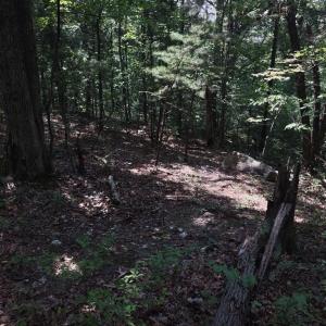 Photo #2 of BLEVINS ROAD, LURAY, VA 0.7 acres