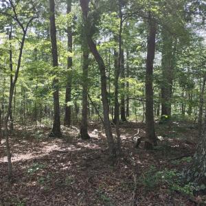 Photo #6 of BLEVINS ROAD, LURAY, VA 0.7 acres