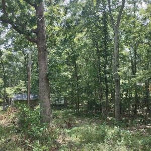 Photo #7 of BLEVINS ROAD, LURAY, VA 0.7 acres