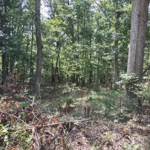 Photo #8 of BLEVINS ROAD, LURAY, VA 0.7 acres