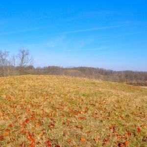 Photo #21 of 2919 ROKEBY RD, DELAPLANE, VA 48.8 acres