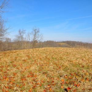 Photo #24 of 2919 ROKEBY RD, DELAPLANE, VA 48.8 acres