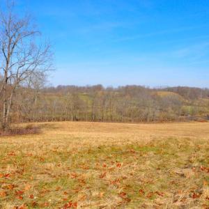 Photo #26 of 2919 ROKEBY RD, DELAPLANE, VA 48.8 acres