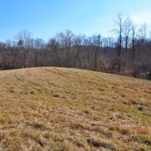 Photo #43 of 2919 ROKEBY RD, DELAPLANE, VA 48.8 acres