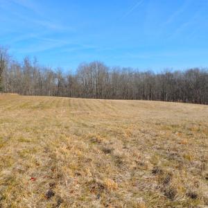 Photo #44 of 2919 ROKEBY RD, DELAPLANE, VA 48.8 acres