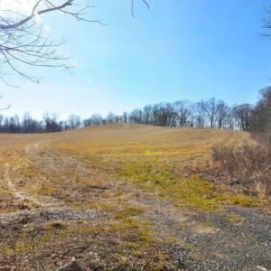 Photo #16 of 2919 ROKEBY RD, DELAPLANE, VA 48.8 acres