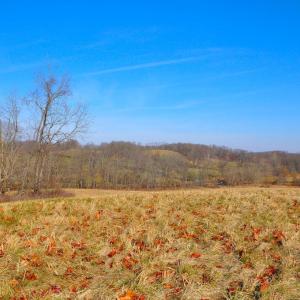 Photo #17 of 2919 ROKEBY RD, DELAPLANE, VA 48.8 acres