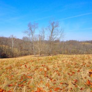 Photo #18 of 2919 ROKEBY RD, DELAPLANE, VA 48.8 acres