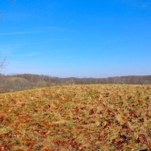 Photo #20 of 2919 ROKEBY RD, DELAPLANE, VA 48.8 acres