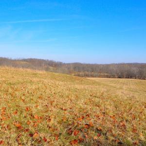 Photo #2 of 2919 ROKEBY RD, DELAPLANE, VA 48.8 acres