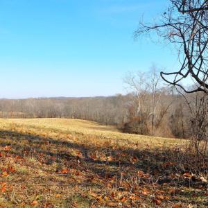 Photo #3 of 2919 ROKEBY RD, DELAPLANE, VA 48.8 acres