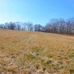 Photo #39 of 2919 ROKEBY RD, DELAPLANE, VA 48.8 acres