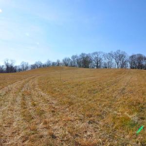Photo #40 of 2919 ROKEBY RD, DELAPLANE, VA 48.8 acres
