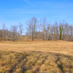 Photo #45 of 2919 ROKEBY RD, DELAPLANE, VA 48.8 acres