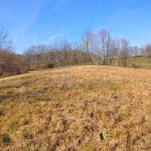 Photo #47 of 2919 ROKEBY RD, DELAPLANE, VA 48.8 acres