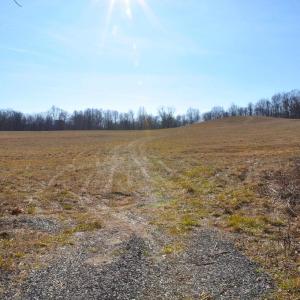 Photo #50 of 2919 ROKEBY RD, DELAPLANE, VA 48.8 acres