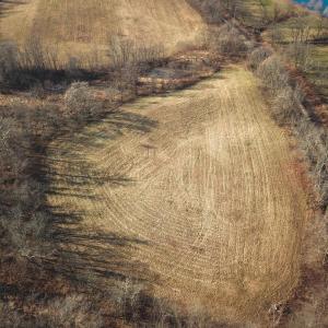 Photo #62 of 2919 ROKEBY RD, DELAPLANE, VA 48.8 acres