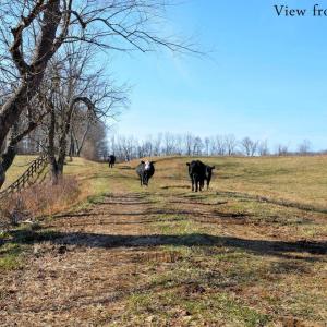 Photo #58 of 2919 ROKEBY RD, DELAPLANE, VA 48.8 acres