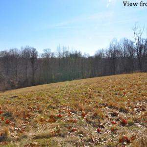 Photo #53 of 2919 ROKEBY RD, DELAPLANE, VA 48.8 acres