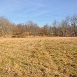 Photo #54 of 2919 ROKEBY RD, DELAPLANE, VA 48.8 acres