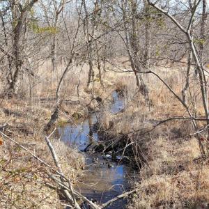 Photo #45 of 2919 ROKEBY RD, DELAPLANE, VA 48.8 acres