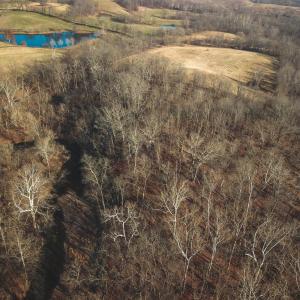 Photo #28 of 2919 ROKEBY RD, DELAPLANE, VA 48.8 acres