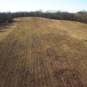 Photo #33 of 2919 ROKEBY RD, DELAPLANE, VA 48.8 acres