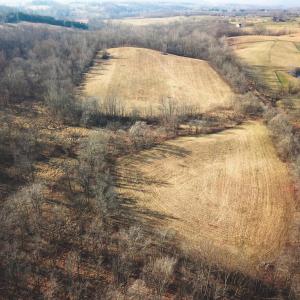 Photo #48 of 2919 ROKEBY RD, DELAPLANE, VA 48.8 acres