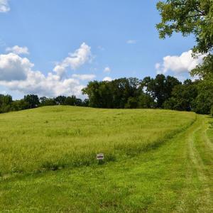 Photo #11 of 2919 ROKEBY RD, DELAPLANE, VA 48.8 acres