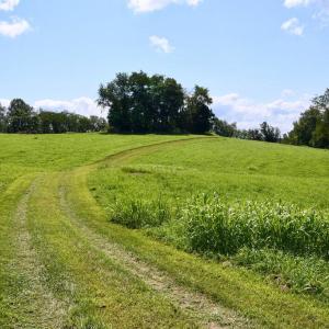 Photo #14 of 2919 ROKEBY RD, DELAPLANE, VA 48.8 acres