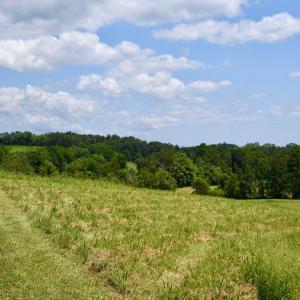 Photo #19 of 2919 ROKEBY RD, DELAPLANE, VA 48.8 acres