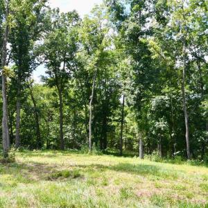 Photo #22 of 2919 ROKEBY RD, DELAPLANE, VA 48.8 acres