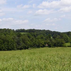 Photo #15 of 2919 ROKEBY RD, DELAPLANE, VA 48.8 acres