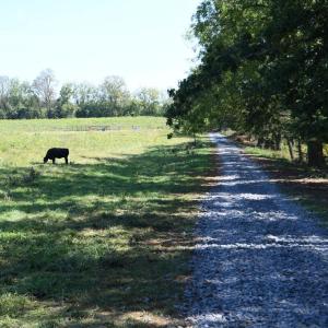 Photo #2 of 2919 ROKEBY RD, DELAPLANE, VA 48.8 acres