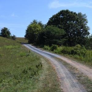 Photo #6 of 2919 ROKEBY RD, DELAPLANE, VA 48.8 acres