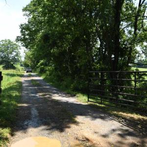 Photo #8 of 2919 ROKEBY RD, DELAPLANE, VA 48.8 acres