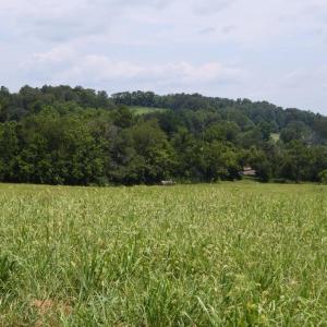 Photo #17 of 2919 ROKEBY RD, DELAPLANE, VA 48.8 acres
