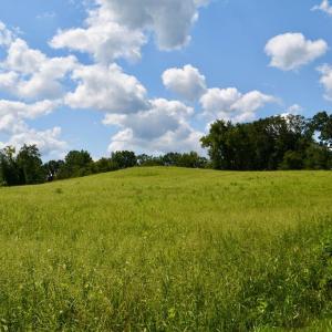 Photo #21 of 2919 ROKEBY RD, DELAPLANE, VA 48.8 acres