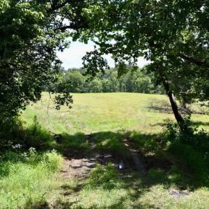 Photo #24 of 2919 ROKEBY RD, DELAPLANE, VA 48.8 acres