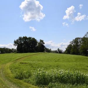 Photo #25 of 2919 ROKEBY RD, DELAPLANE, VA 48.8 acres